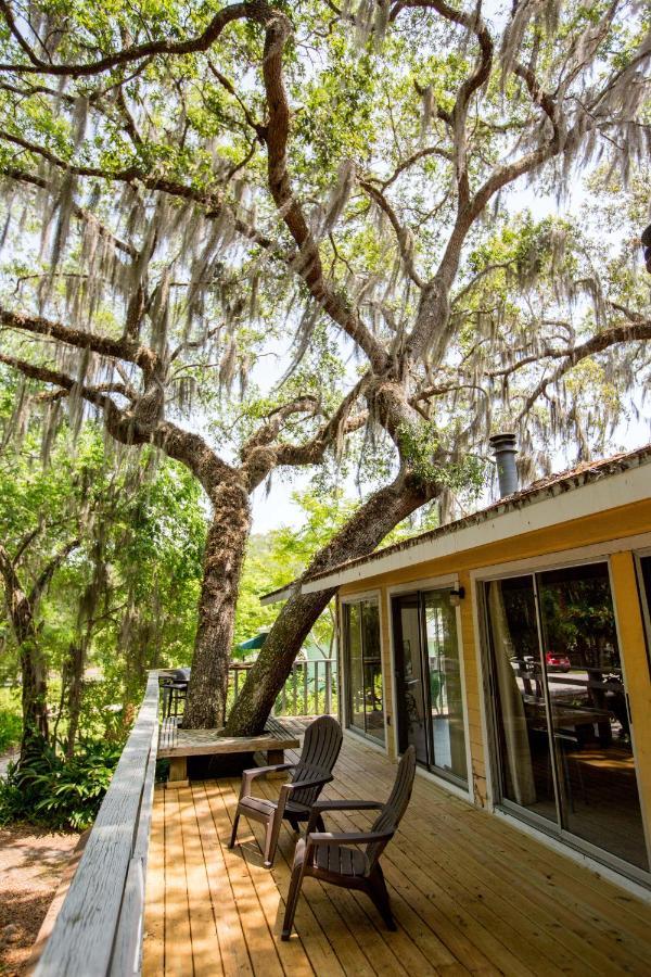 Riverfront Treetop Bungalow Хомосасса Экстерьер фото