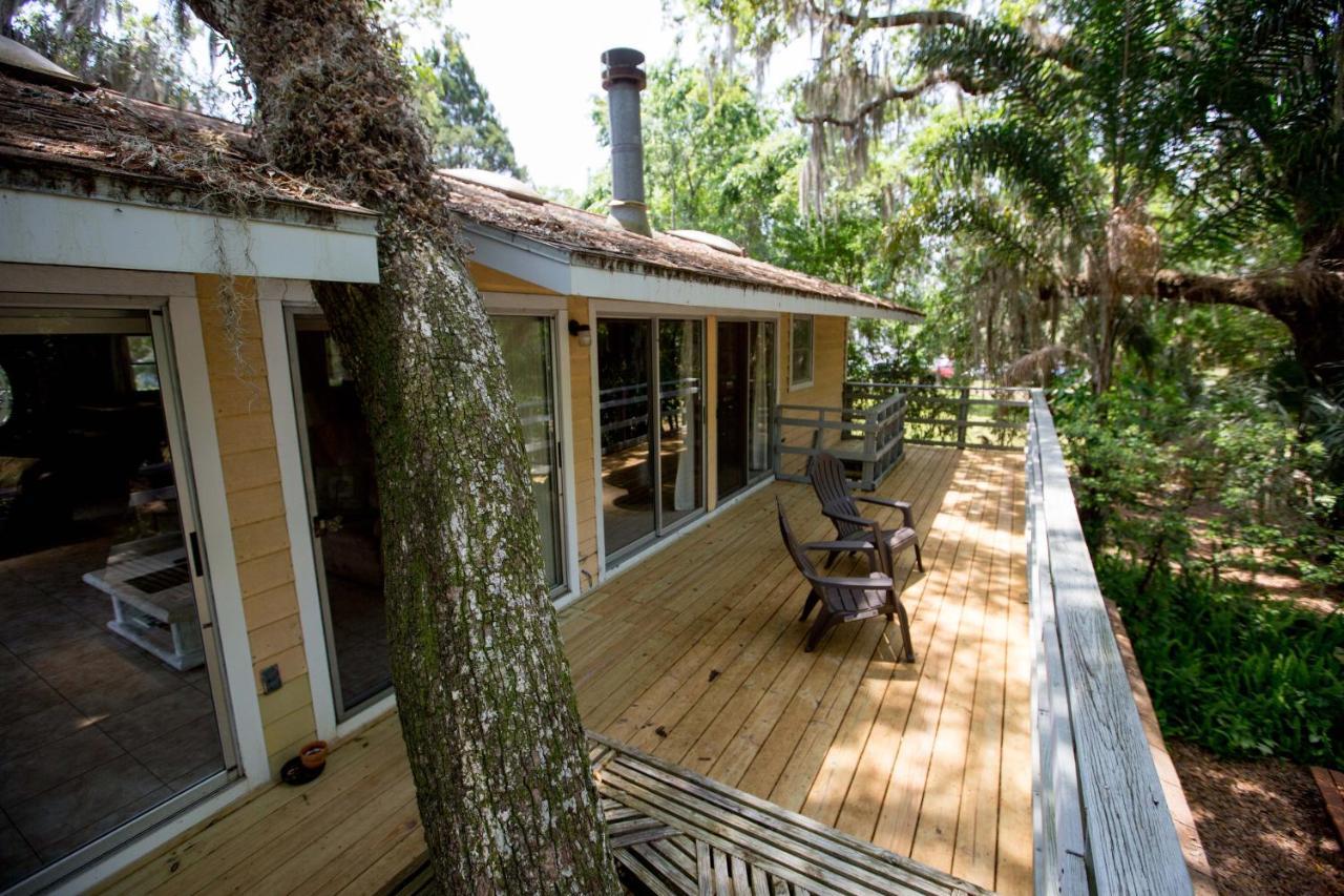 Riverfront Treetop Bungalow Хомосасса Экстерьер фото
