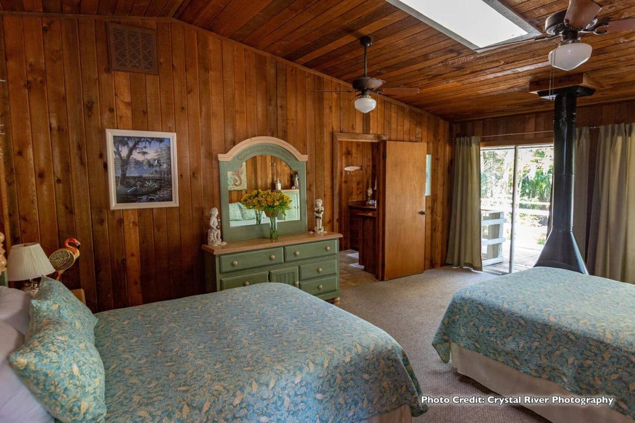 Riverfront Treetop Bungalow Хомосасса Экстерьер фото